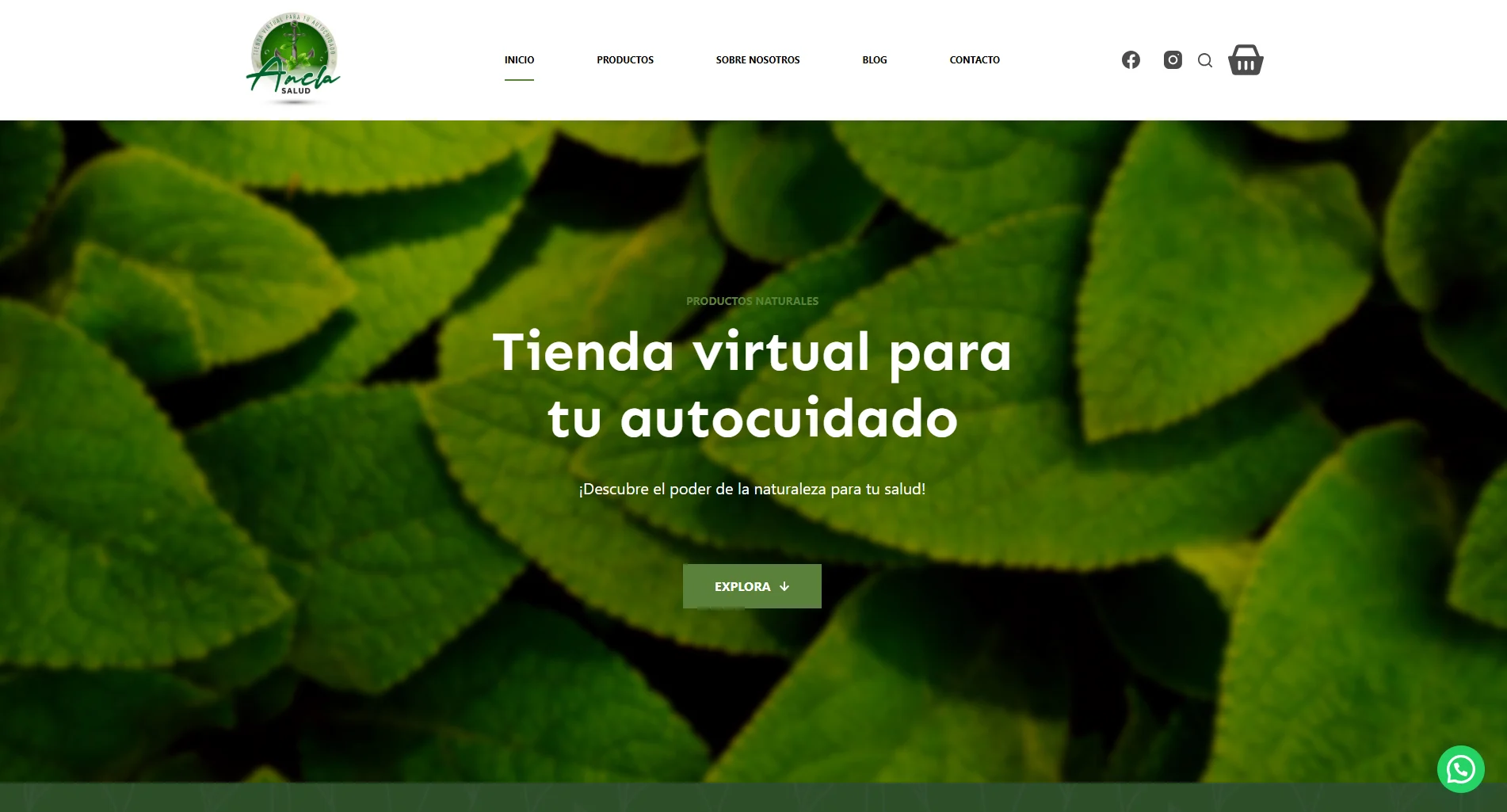 Desarrollo Web Ancla Salud