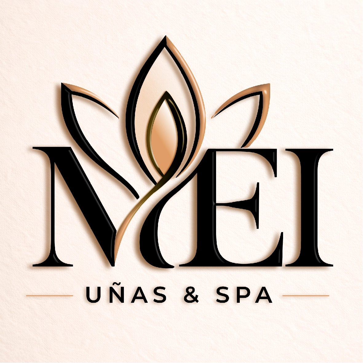 Logo MEI